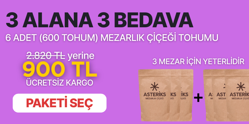 3 Alana 3 Bedava (Toplam 6 Adet)
